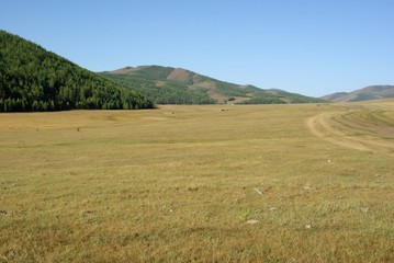 Fototapeta na wymiar Paysage, Mongolie