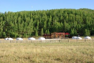 Fototapeta na wymiar Camp de Yourtes, Mongolie