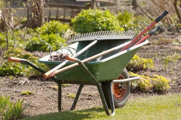 Wheelbarrow and rake near spring border