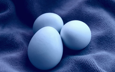 Eggs