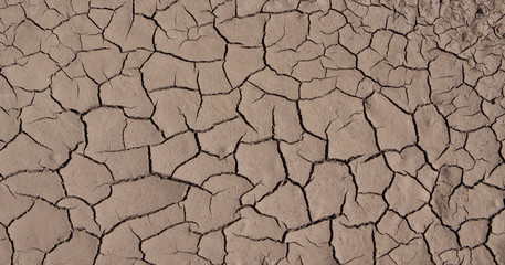 dry soil