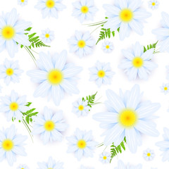seamless daisies pattern