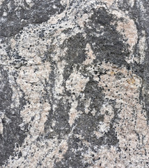 Folded gneiss with amphibolite, feldspar, and quartz