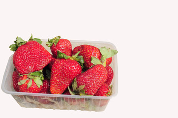 The girl holds a tray with a ripe strawberry