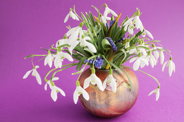 snowdrops in vase