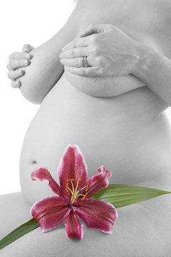 Pregnant Woman With Lily