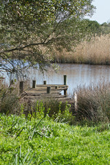 ponton en bord d'étang