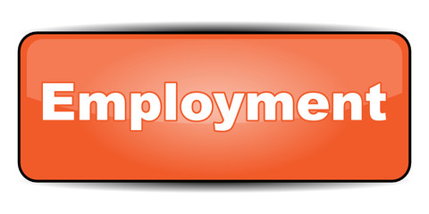 EMPLOYMENT ICON