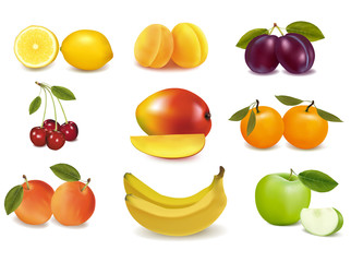 Group with different sorts of fruit. Vector.