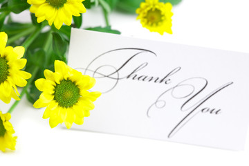 yellow daisy  and a card signed thank you isolated on white