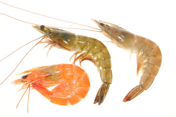 Cooked And Fresh Prawn Isolated On White Background