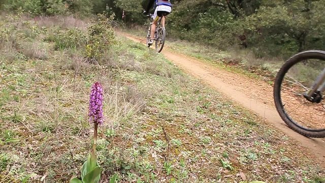 v&eacute;lo