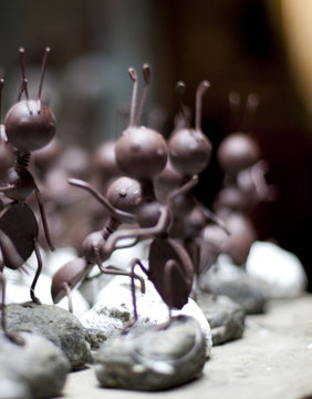 danse de fourmis en fer