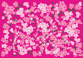 vector pink background with oriental cherry