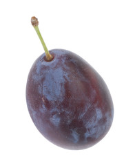 Quetsche