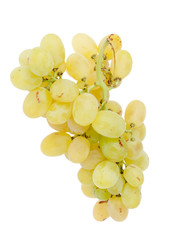Raisin Italia