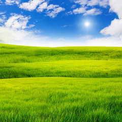 Grass field and nice sky
