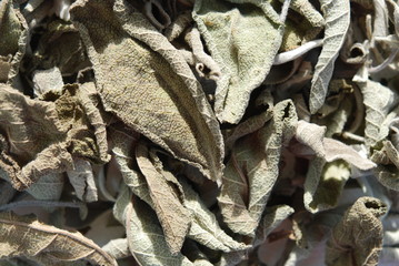 Dry sage leaves