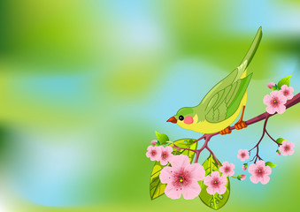 Spring bird background