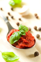 Zutaten für Tomatensoße
