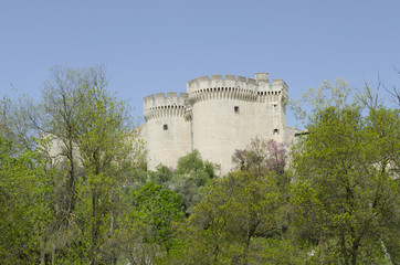 Fototapeta na wymiar Fort Saint André à Villeneuve lez Avignon