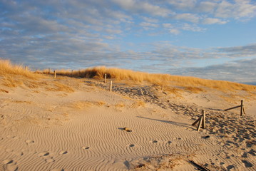 Magnificent Dune at the Baltic Sea