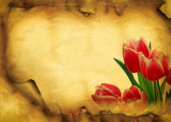 Grunge background with tulips