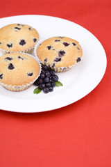 Delicious home made muffins with blueberries