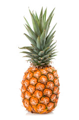 Fototapeta premium pineapple