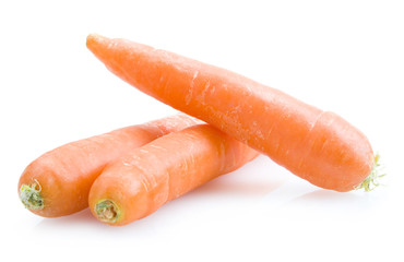 carrot