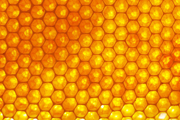 Honeycomb background