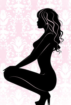 Naked sexy girl silhouette