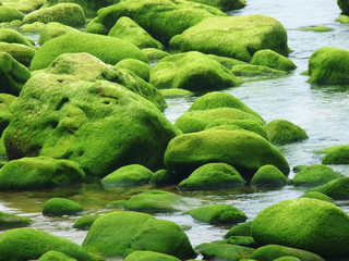 rocas verdes