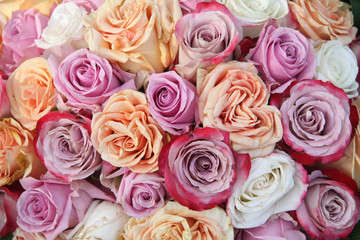 purple and orange rose arrangement - Powered by Adobe