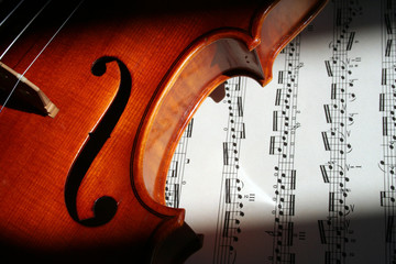 violino