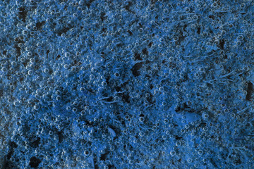 blue bubble photo background