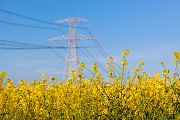 Fototapeta na wymiar Electricity Pilon in the Countryside on Spring