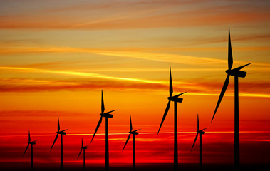 Wind turbines farm at sunset