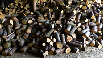 Brennholz © focus finder