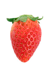 Korea Strawberry