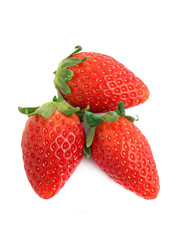 Korea Strawberry