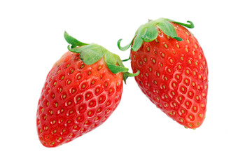 Korea Strawberry