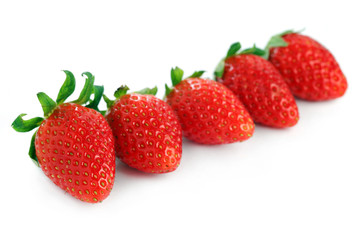 Korea Strawberry
