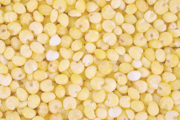 yellow millet  close up as background