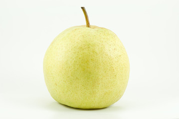 Chinese pear