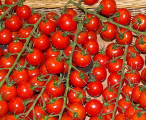 red cherry market  tomato background