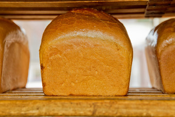 Brot