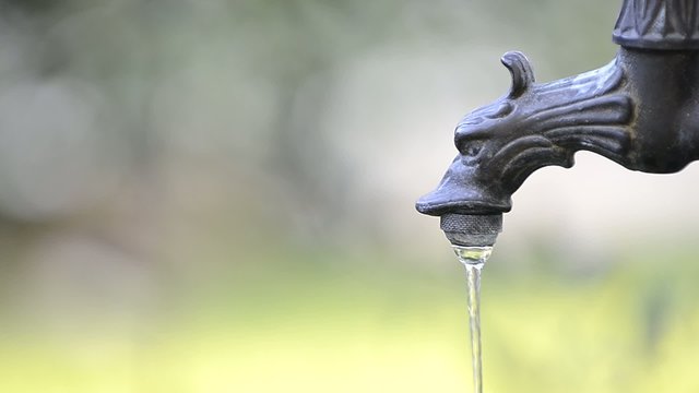 Acqua