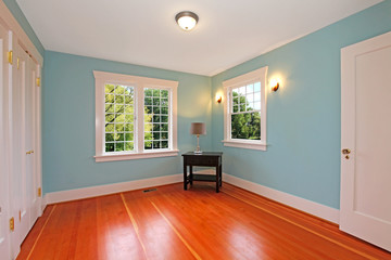 Amazing blue room with cherry floor