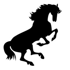 Fototapeta na wymiar silhouette horse on white background